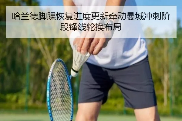 ha-lan-de-jiao-huai-hui-fu-jin-du-geng-xin-qian-dong-man-cheng-chong-ci-jie-duan-feng-xian-lun-huan-bu-ju-2-953.jpg